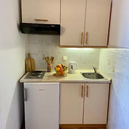 Apartman Palmgarden Opatija-icici *